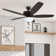 Speicher 60" Ceiling Fan with LED Light