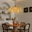 Luminaire suspendu Creative Petal Rattan pour le salon-2027878834