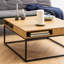 Hesiodos Frame Coffee Table with Storage-167271571