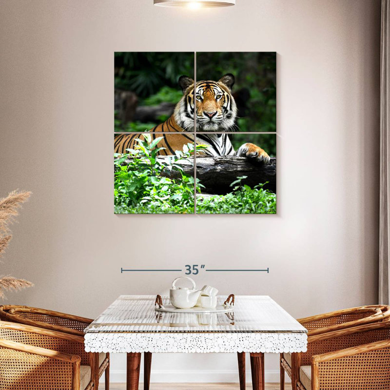 Brampt Resting Bengal Tiger