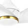 Bernadeta 26'' Ceiling Fan with LED Lights
