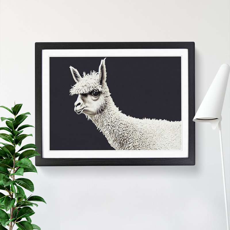 Portrait Of A Llama - Single Picture Frame Print, 34cm H x 46cm W x 2cm D, Black