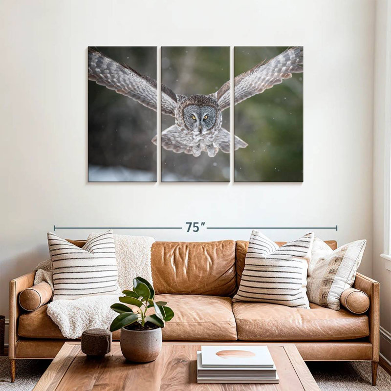 Hibou volant, H 36 po x l 57 po