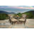Jared 2 - Person Patio Conversation Set with Cushions