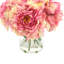 Peonies Arranged in Glass Vase-1080481426