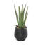 Plantes artificielles en pot 14,15 po Swanson