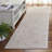 Reflection Performance Oriental Indoor Rug-479941886