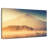 Alvord Brilliant Mount Fuji-107853924