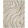 Ashal Abstract Cream/Gray Area Rug