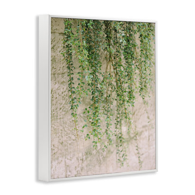«Hanging Ivy Vines Art» par Justine Milton bg-080
