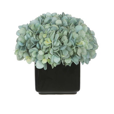 Hydrangeas Arrangement in Vase