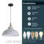 Binns 1 - Light Dome Pendant-962879300