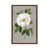 Classic Brown Wood Framed is unavailable