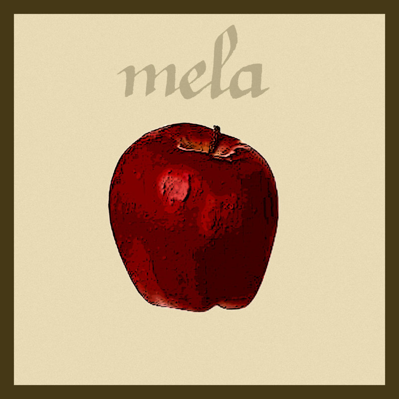 Italian Fruit VIII - Wrapped Canvas Print, 76cm H x 76cm W x 3.8cm D