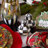 Courtly Check® Salt & Pepper Shakers