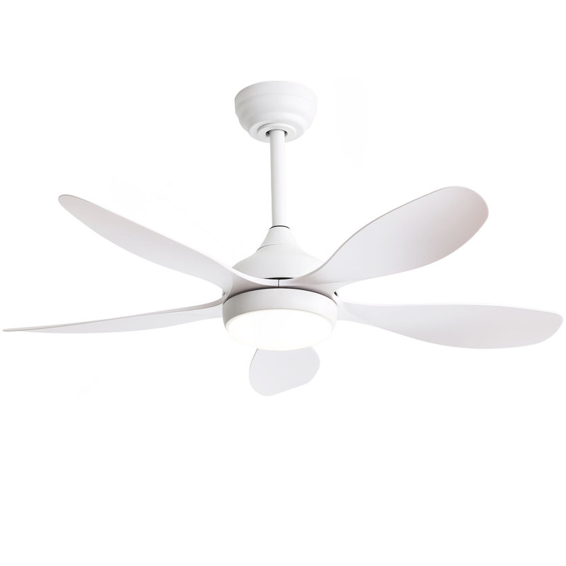 Ventilateur de plafond 42 pouces avec lumière et moteur réversible CC à 6 vitesses Cotnrol