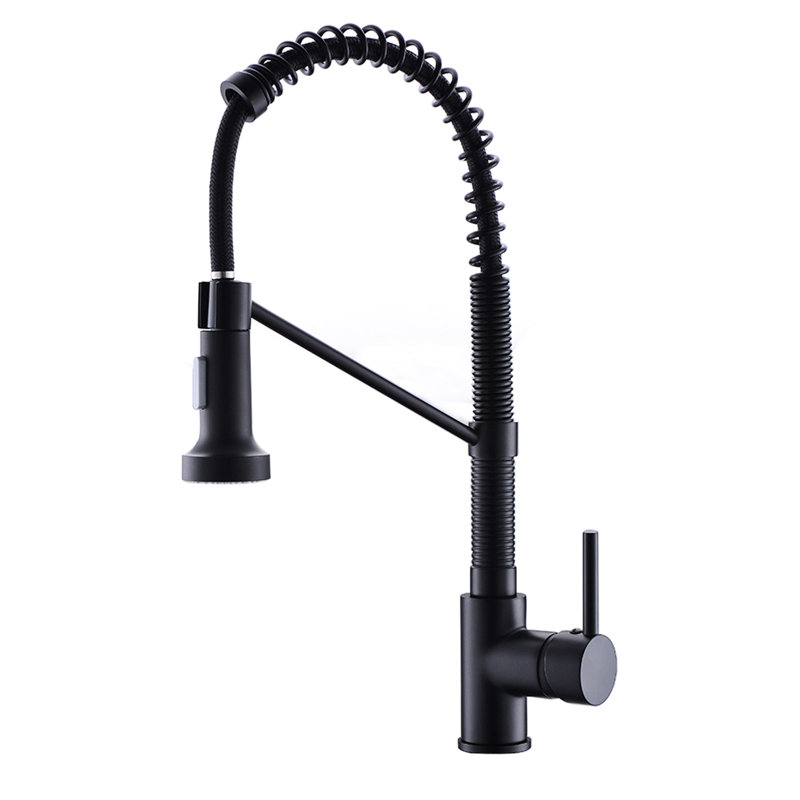 Robinet de cuisine chaud et froid, noir, douchette extractible, laiton massif, robinet mélangeur d'eau monotrou avec douchette, matériau en laiton, poignée, rotation à 360 °