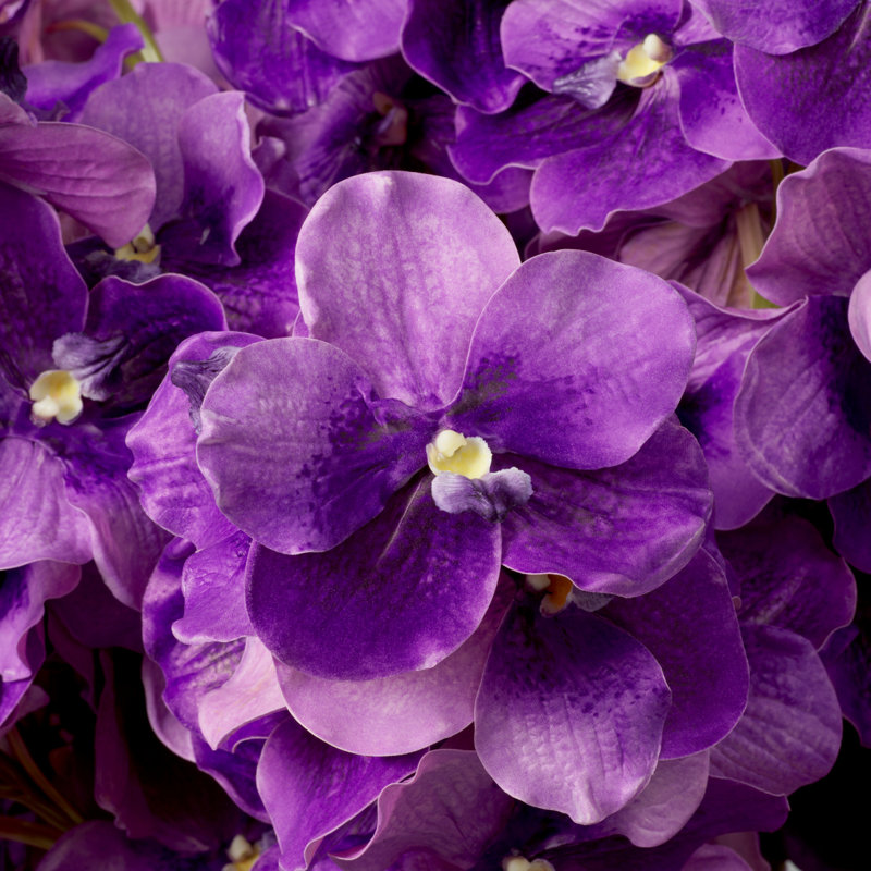 Bouquet of Vanda Orchids Real Touch 24 Pcs, Purple