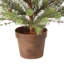 36" Potted Skip Pine Tree With Cone
