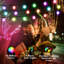 Bryah Solar Smart String Lights Outdoor 25Ft 15 Bulbs Globe G40 LED with Remote and App Control