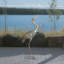 Statue de jardin Paidyn Crane-919461881
