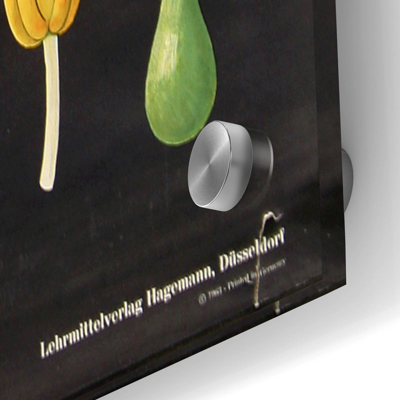 Art mural en verre Rosalind Wheeler «Eat Veggies» par Vintage Posters, 24 po x 36 po