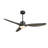 Tibuh 52'' Ceiling Fan with LED Lights-1409973409