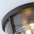 New Ashford Glass Flush Mount