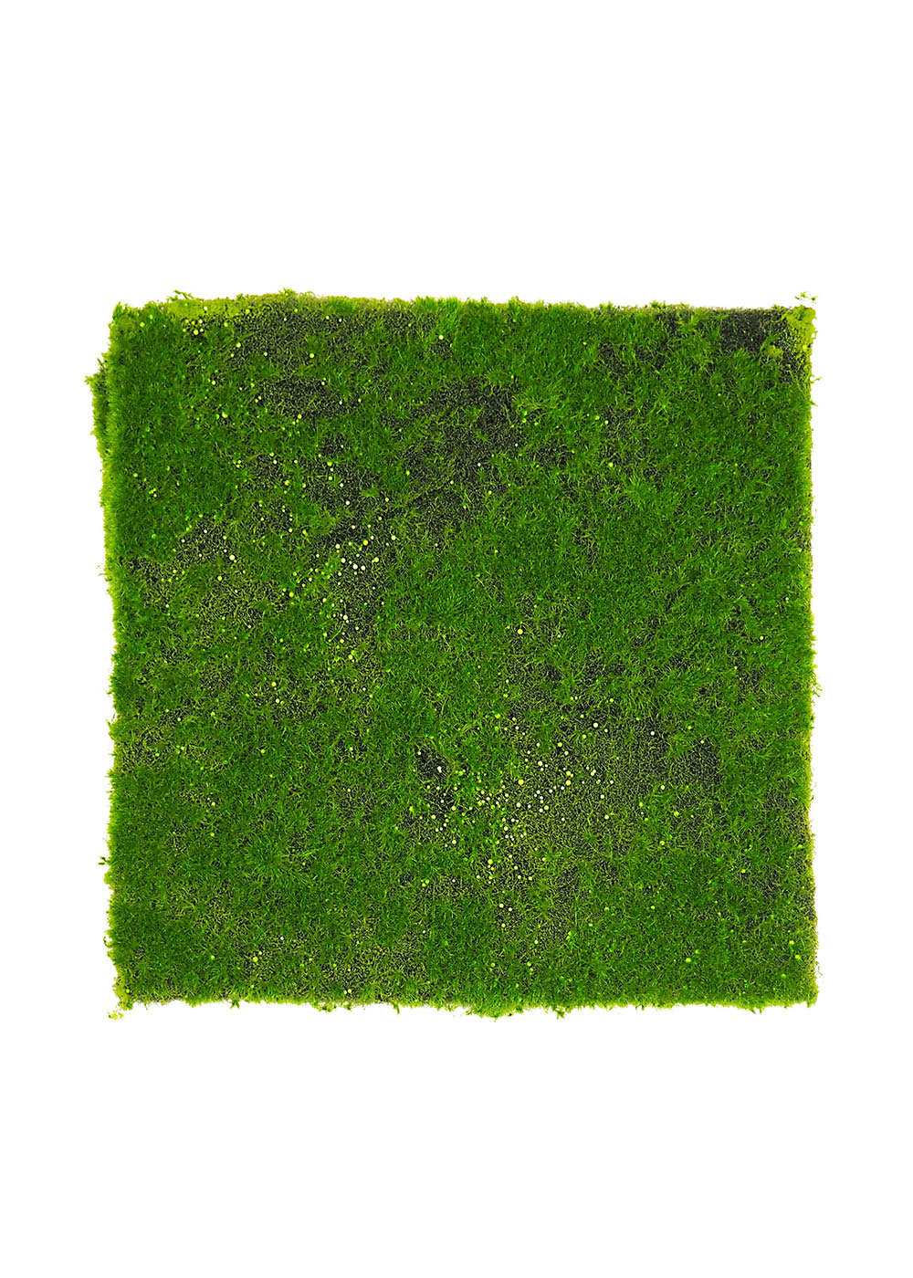 Dried Moss Pad Decorated Sheet 12 x 71 Inches Table Runners, Place Mats, Floor Cover Primrue