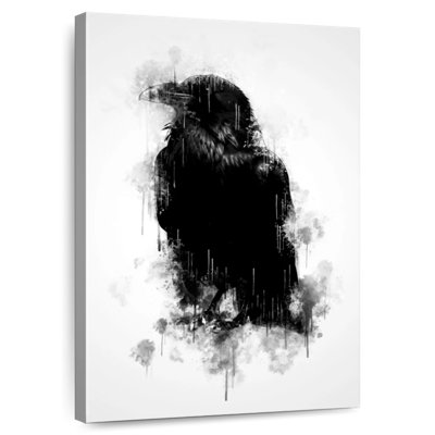 Brampt Crow Raven Black And White