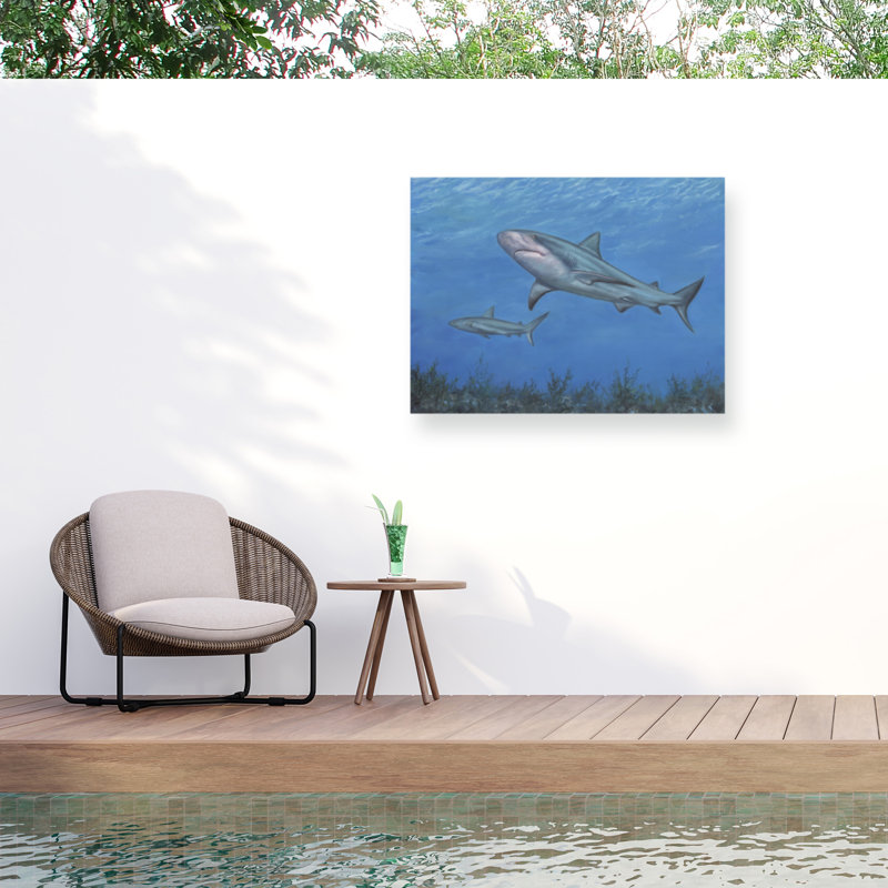 Toile d'extérieur David Stribble Reef Shark, H 14 po x l 19 po