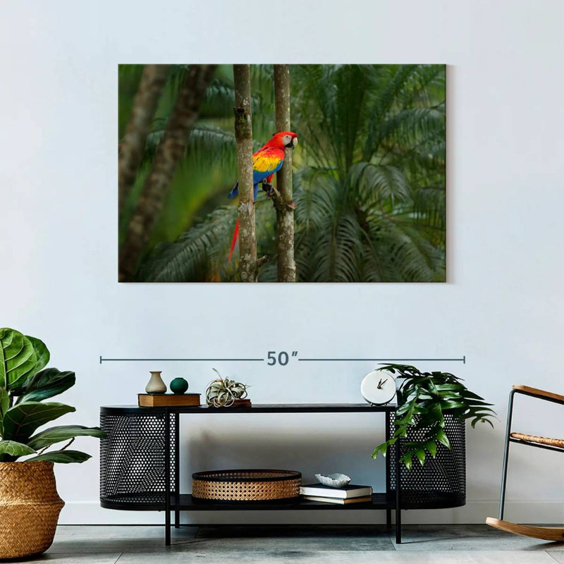 Brampt Wild Scarlet Macaw, 30" H x 45" W