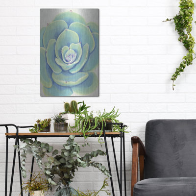 Luxe Metal Art 'Pastel Succulent IV' by Tim O'Toole, Metal Wall Art, 12"x16"