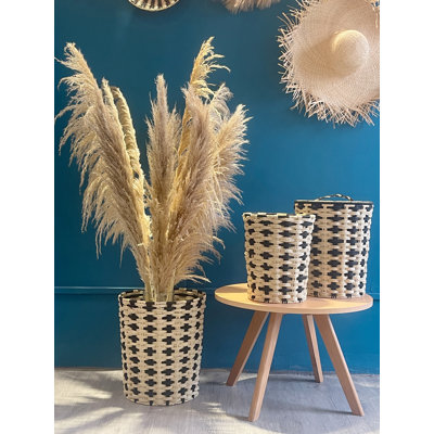 Panier de rangement Bayou Breeze