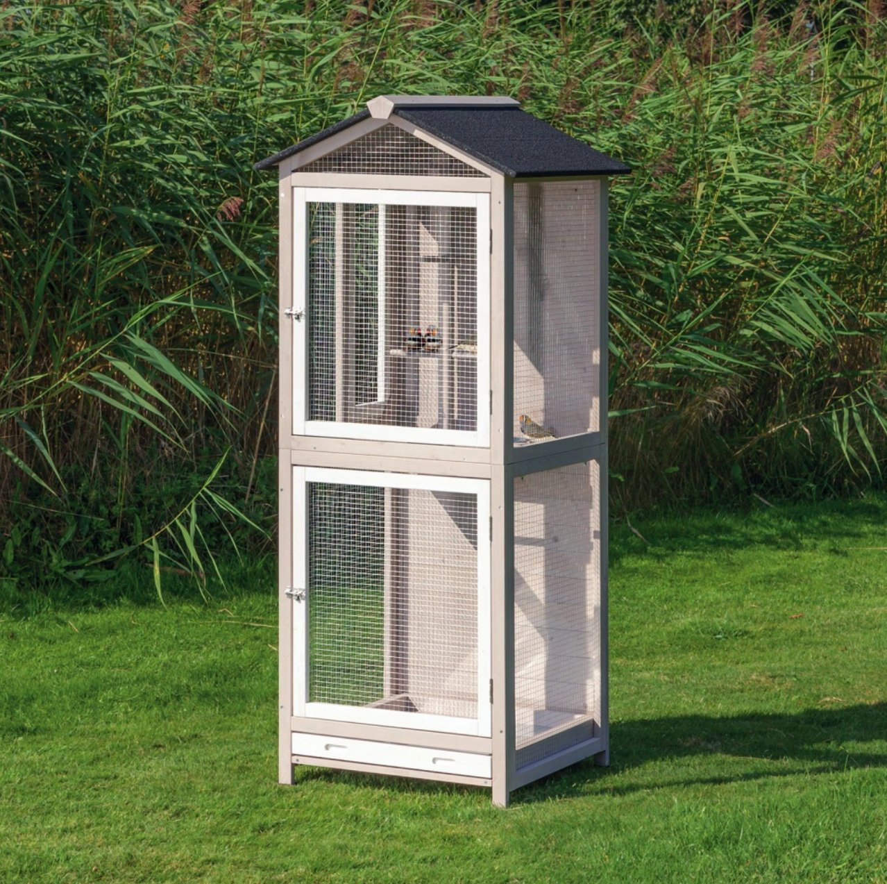 Picture of The Arched Bird Aviary: Discover the Beauty and Quality at Flyte so ...