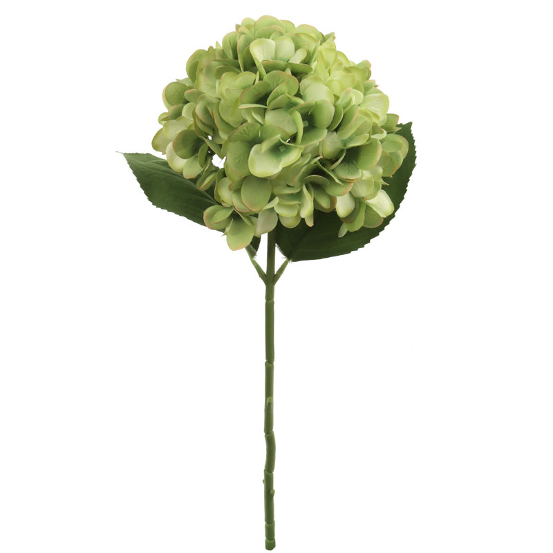 Delicate 18-inch Green Hydrangea Stem - Stunning 7-Inch Diameter