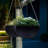 Hanging Planters For Outdoor Plants, Large Hanging Planter With Drain Holes, Black Hanging Flower Pots (13.2 Inch, Set Of 2)