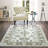 Hudson Oaks Oriental Indoor Rug-33630455