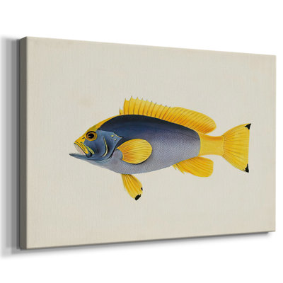 Collection Tropical Fish V - Cavas enveloppés de galerie