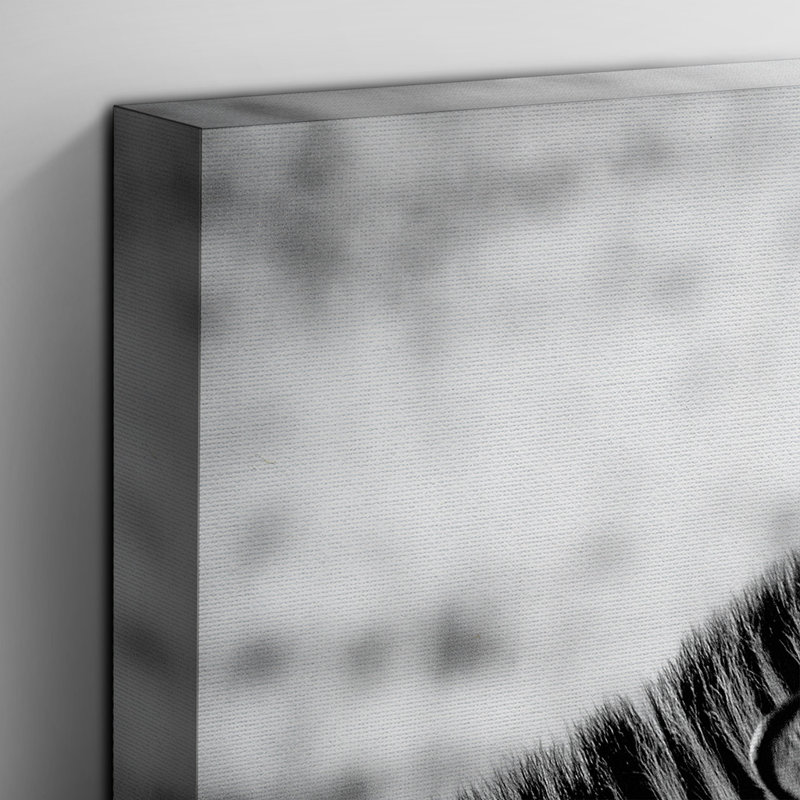 Zebra Wildlife - Wrapped Canvas, 35cm H x 50cm W