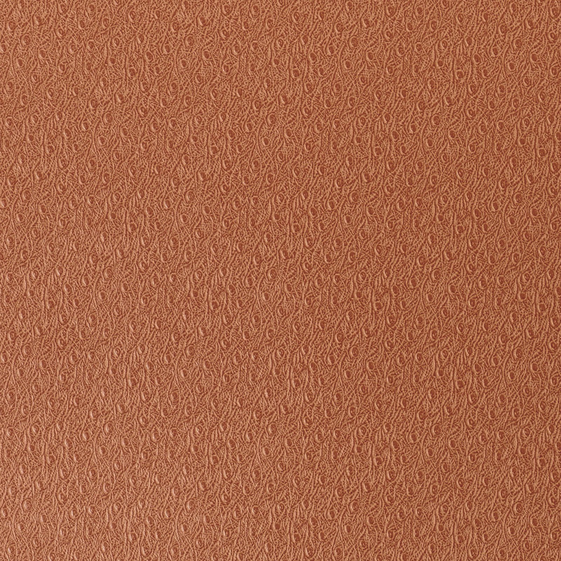 Ostrich Wallpaper, Ginger