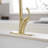 VIBRANTBATH Pull Down Kitchen Faucet-94339894