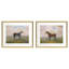 Equestrian II Framed Print