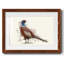 Pheasant Splash 5 - reproduction d'un seul cadre photo-1946987687-1946987691