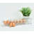 West Hewish Food Storage Container