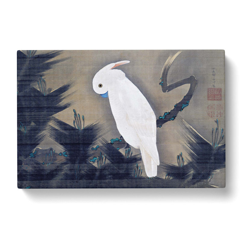 White Cockatoo on a Pine Branch by Ito Jakuchu - Wrapped Canvas, 35cm H x 50cm W x 3cm D