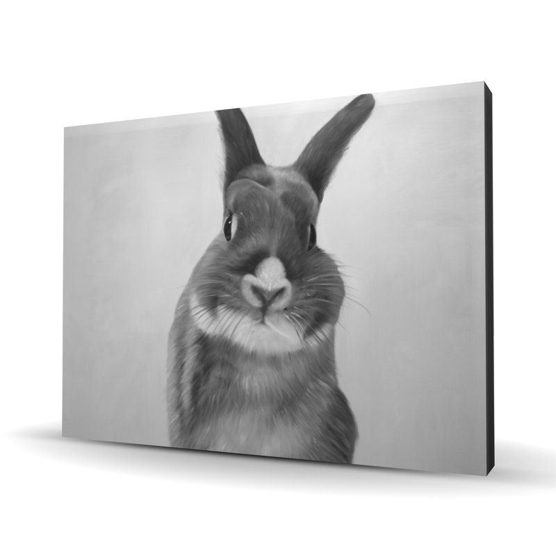 Funny gray rabbit - Gray animals canvas for home decor
