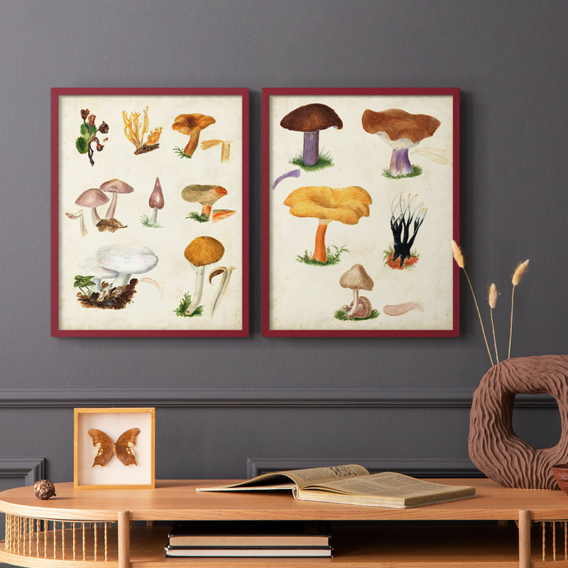 Champignon VI - reproduction encadrée de qualité supérieure - prêt à être accroché - aucun clou requis - aucun clou requis