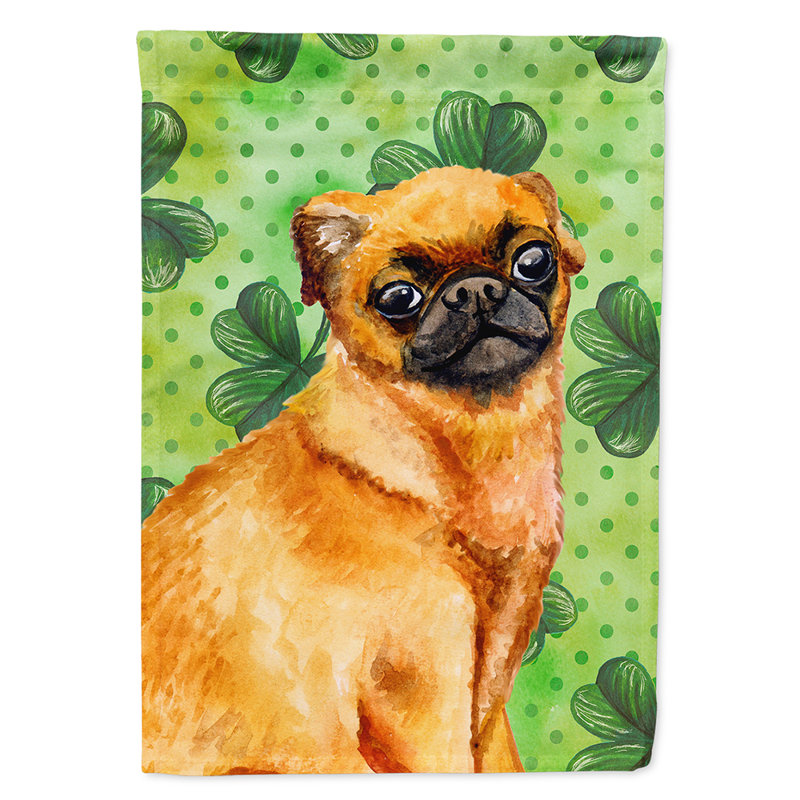 40 x 28 po en polyester à 2 côtés de la st patrick drapeau maison, Griffon de Brabant