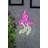 Decorative Plastic Led Lighting-1188677833